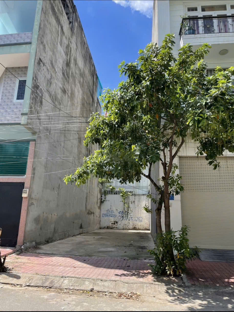 BÁN ĐẤT TÂN THÔNG HỘI- CỦ CHI, DT 80M2, 1 TỶ6, SHR, CÔNG CHỨNG SANG TÊN NGAY